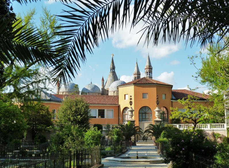 University of Padua Botanical Garden, Padua, Italy, Italy